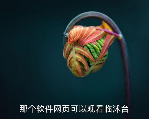 臨沭在線，世上有真情嗎