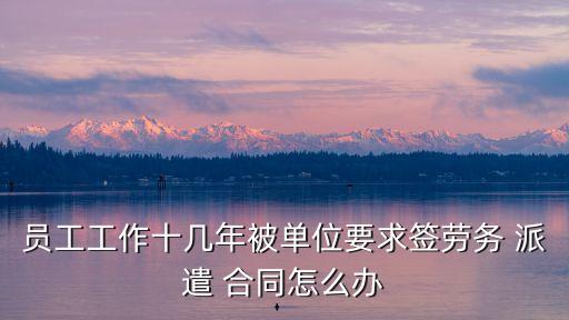 派遣合同的要求是什么法律