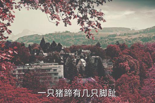 豬蹄幾個腳趾，一只豬蹄有幾只腳趾