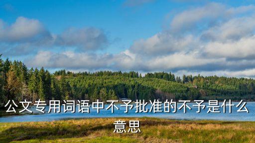 公文專用詞語中不予批準(zhǔn)的不予是什么意思