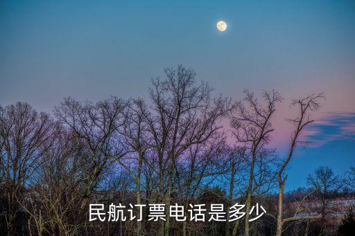 民航售票，民 航 網(wǎng) 機(jī) 票 預(yù) 訂航 協(xié) 認(rèn) 證