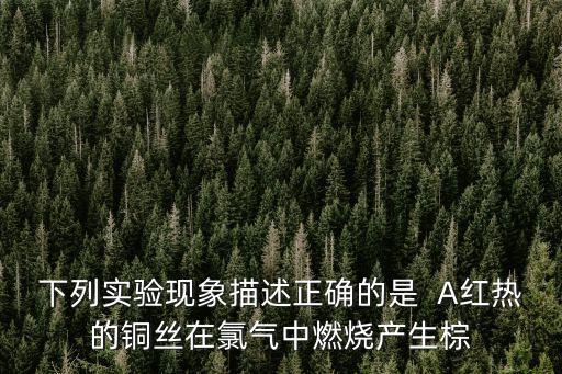 下列實(shí)驗(yàn)現(xiàn)象描述正確的是  A紅熱的銅絲在氯氣中燃燒產(chǎn)生棕