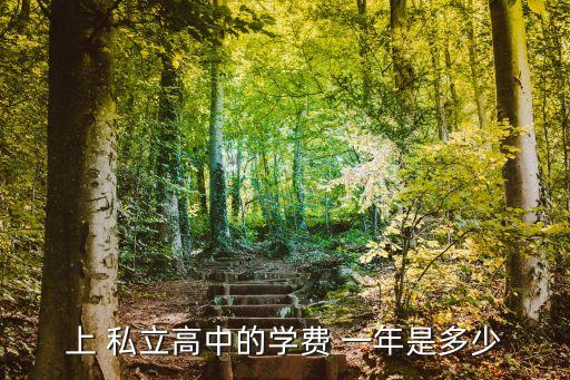 上 私立高中的學(xué)費(fèi) 一年是多少