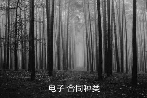  電子 合同種類