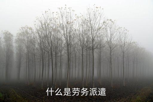 什么是勞務(wù)派遣