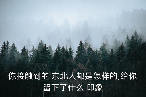 東北印象