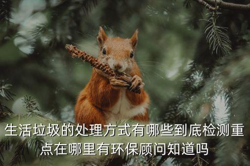 廢物處理，垃圾怎么處理的