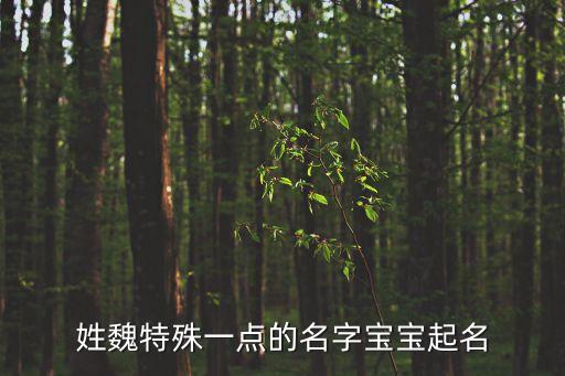 魏敏