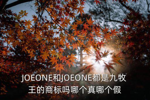 九牧王商標，JOEONE和JOEONE都是九牧王的商標嗎哪個真哪個假