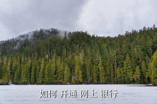 如何開通網(wǎng)上銀行,中國工商銀行如何開通網(wǎng)上銀行