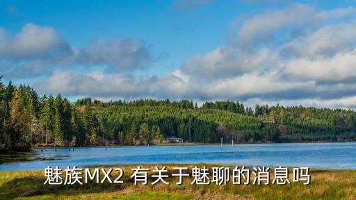魅族MX2 有關(guān)于魅聊的消息嗎