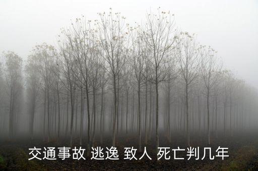 肇事逃逸致人死亡
