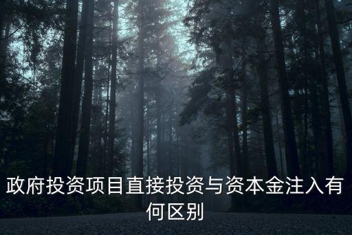 政府投資項目直接投資與資本金注入有何區(qū)別