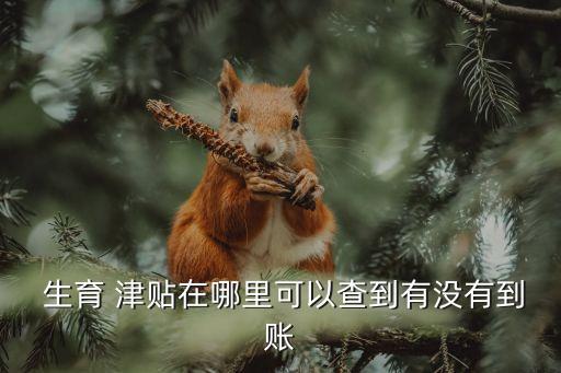 生育津貼怎么查詢進(jìn)度,2023年生育津貼怎么查詢進(jìn)度