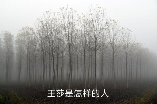 王莎是怎樣的人