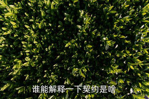 契約關(guān)系，誰(shuí)能解釋一下契約是啥