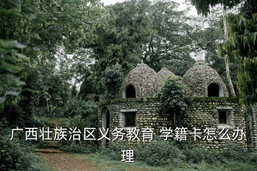 廣西壯族治區(qū)義務(wù)教育 學(xué)籍卡怎么辦理