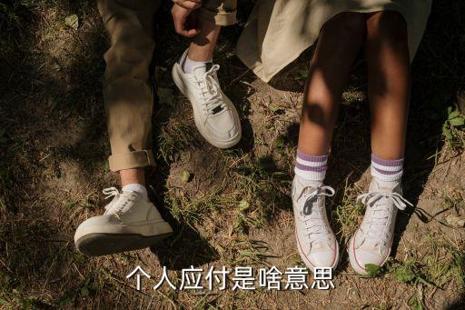 個(gè)人應(yīng)付是啥意思