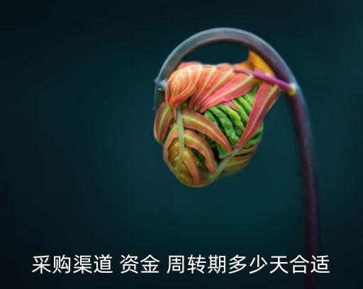 資金周轉(zhuǎn)天數(shù),生產(chǎn)環(huán)節(jié)營運資金周轉(zhuǎn)天數(shù)