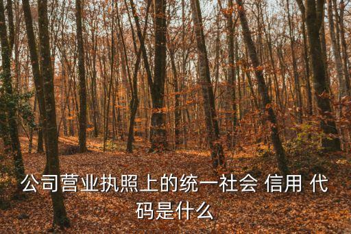公司營業(yè)執(zhí)照上的統(tǒng)一社會 信用 代碼是什么
