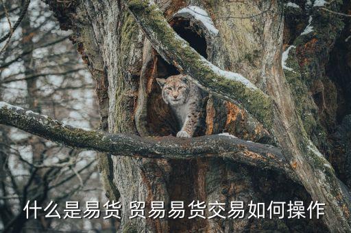 貿(mào)易模式,日本的經(jīng)濟(jì)貿(mào)易模式
