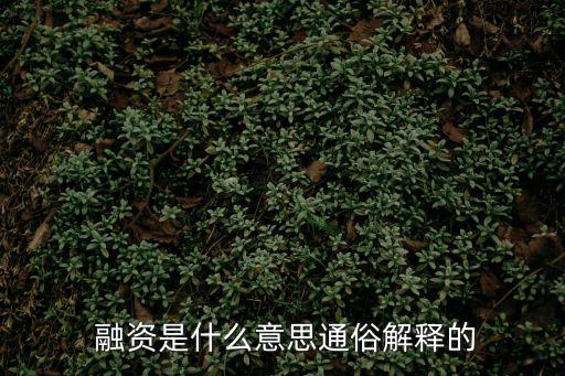  融資是什么意思通俗解釋的