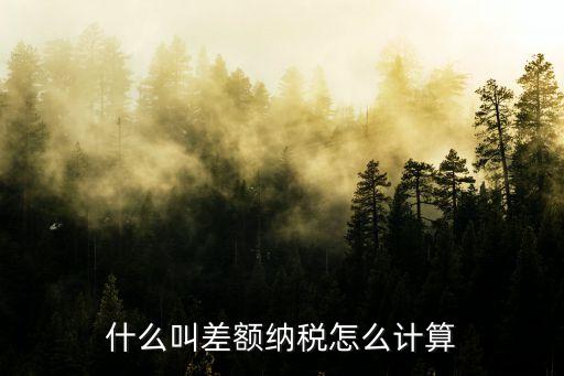 差額稅，什么叫差額納稅怎么計算