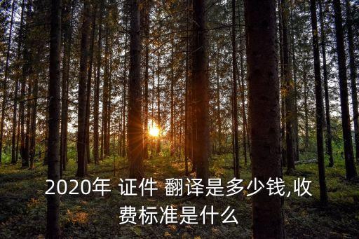 翻譯證件需要多少錢,銀行流水翻譯價格