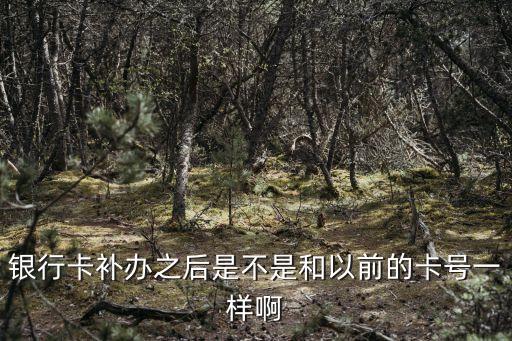 銀行卡補(bǔ)卡后和原來(lái)的賬號(hào)一樣嗎，中國(guó)銀行補(bǔ)卡后的卡號(hào)是和以前的一樣嗎