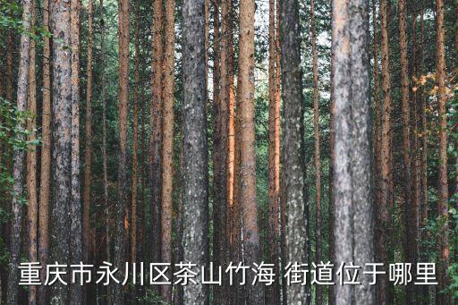 重慶市永川區(qū)茶山竹海 街道位于哪里