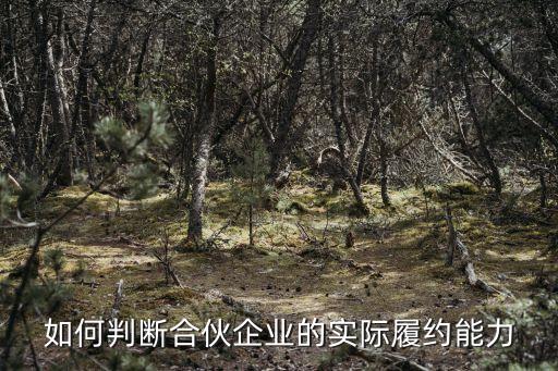 如何判斷合伙企業(yè)的實際履約能力