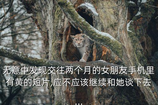 無(wú)意中發(fā)現(xiàn)交往兩個(gè)月的女朋友手機(jī)里有黃的短片,應(yīng)不應(yīng)該繼續(xù)和她談下去...
