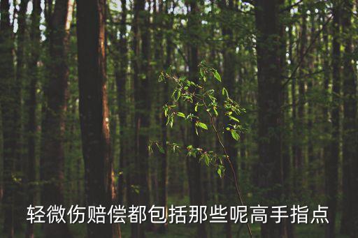 輕微傷怎么賠償，輕微傷賠償都包括那些呢高手指點(diǎn)