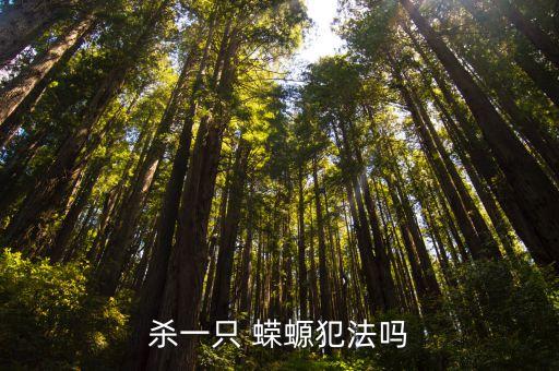 殺一只 蠑螈犯法嗎