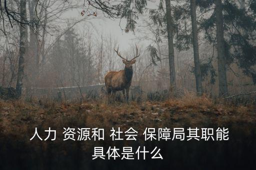 人力資源和社會保障局是干嘛的,壽寧縣人力資源和社會保障局是干嘛的