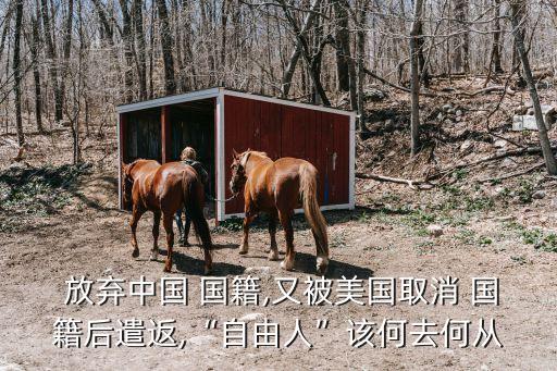 放棄中國國籍,申請難民等于宣布放棄中國國籍