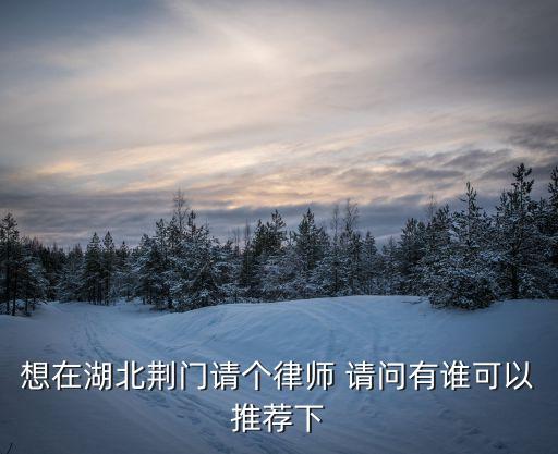 想在湖北荊門請個律師 請問有誰可以推薦下