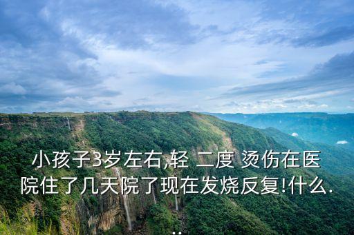 小孩子3歲左右,輕 二度 燙傷在醫(yī)院住了幾天院了現(xiàn)在發(fā)燒反復(fù)!什么...