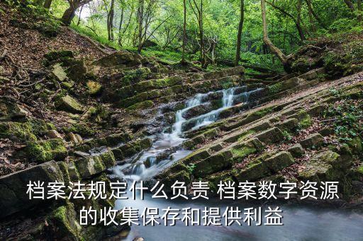  檔案法規(guī)定什么負(fù)責(zé) 檔案數(shù)字資源的收集保存和提供利益