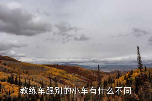 教練車，教練車必須有教練證的人開嗎