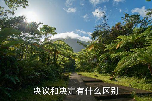 決議，決議和決定有什么區(qū)別