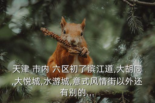 天津 市內(nèi) 六區(qū)初了濱江道,大胡同,大悅城,水游城,意式風情街以外還有別的...