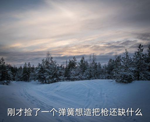 剛才撿了一個(gè)彈簧想造把槍還缺什么