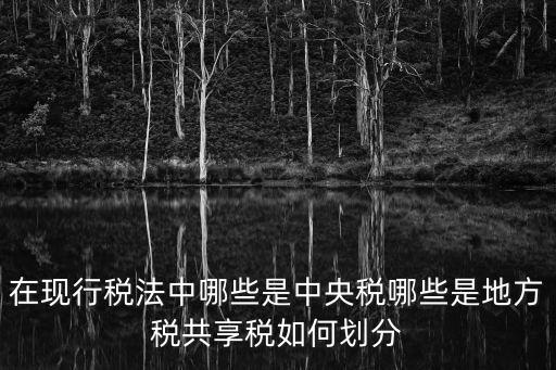 在現(xiàn)行稅法中哪些是中央稅哪些是地方稅共享稅如何劃分