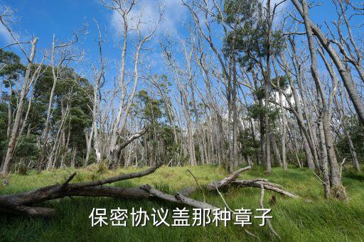 保密印章，在會計報表上蓋章用于文件保密不得泄露的應(yīng)該刻什么要的章章上