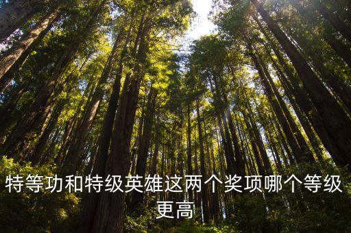特等功和特級英雄這兩個獎項哪個等級更高