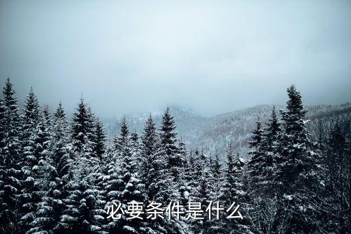 什么是必要條件，什么是必要條件