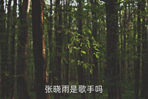 張曉雨，張曉雨這個名字有什么寓意