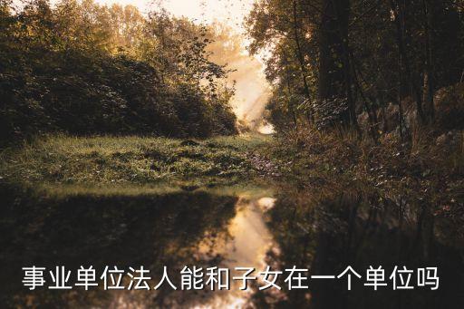 事業(yè)單位法人能和子女在一個(gè)單位嗎