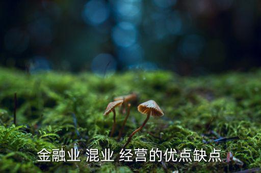 金融業(yè) 混業(yè) 經(jīng)營(yíng)的優(yōu)點(diǎn)缺點(diǎn)